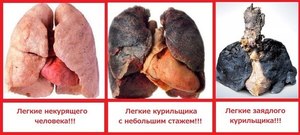 Вред никотина для организма