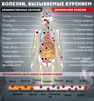 Как влияет курение на организм человека