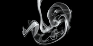 Как влияет кальянный дым